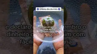 Ritual para o primeiro dia do mês