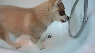 In the bath room