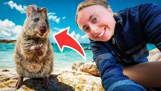 Rottnest Island Vlog, Australia: The Good, The Bad & The Quokkas