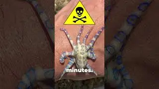 This Thing Can Kill You in Minutes!