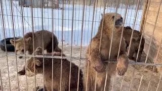 Благодарности и краткие итоги 22ого.