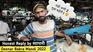 Deonar bakra mandi 2022 Today update | honest reply by व्यापारी | bakra mandi