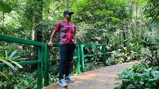 NATURAL | Taman Botani Kepong FRIM