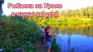 охота за хищником