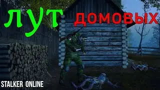 Какой Лут у Домовых ⭐ \сталкер онлине\Stay out