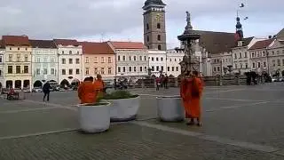 Tigry v Budějovicích