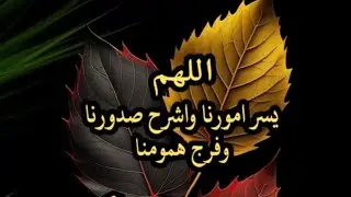 @شاهد فيديو منوع في العبر لاتفوتك الاحداث تابع