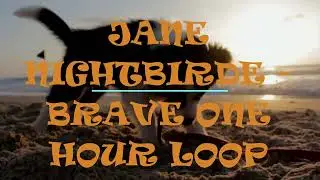 BRAVE   JANE NIGHTBIRDE  LOOP