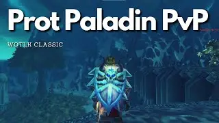 You laugh you lose | Prot Paladin WOTLK PvP
