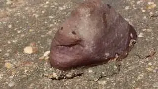 Сезон 1 серия 5: лето и море !!!