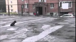 Йота 6 мес послушание
