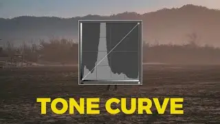 TRIK TONE CURVE DI LIGHTROOM CC MOBILE | NGE.TUN