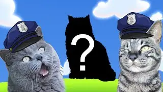 Cat Police Chase - The Mysterious Mouse Attacker Finally Caught - Collaboration With Leo's Day Off