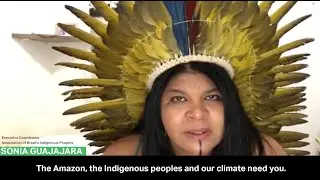 The Amazon is Still Burning - Here's What You Can Do