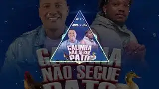 Pai Profeta x Adjacente Work é Work - GALINHA NÃO SEGUE PATO (Áudio Oficial)