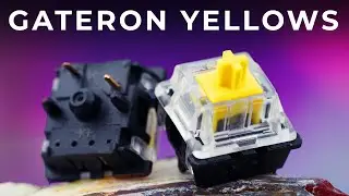 The ULTIMATE Budget Linear: Gateron Yellows Review