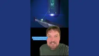 Salmon Lice Lasers!