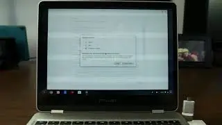 What Channel are you on, Stable, Developer, Or Beta?