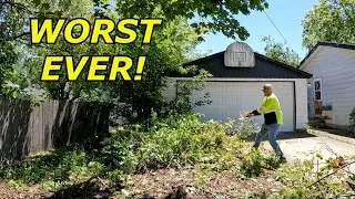Single, In Her 70's..She Was OVERWHELMED!  We Cleared a DECADE of OVERGROWTH #lawn #satisfying #work