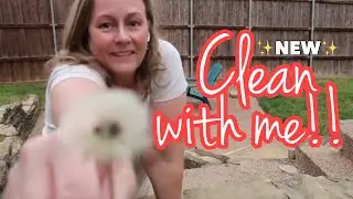 ✨ NEW ✨ CLEAN WITH ME | NEVER NOT CLEANING