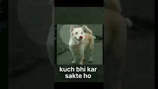 is it real or what