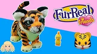 Play Date with FurReal Friends Roarin' Tyler the Playful Tiger