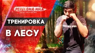 Переводы в партер топ 4 / тренировки дома мма или на природе