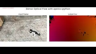 Optical Flow | Dense | Lukas Kanade algoirhtm | opencv-python