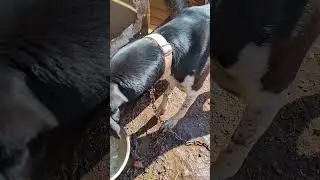Off Grid Living is Simple