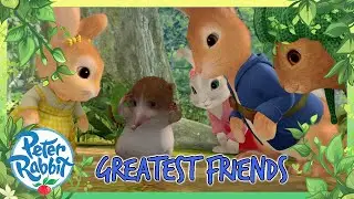 ‪@OfficialPeterRabbit‬