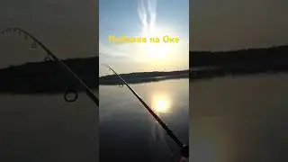 Рыбалка.Дед ЖЖЁТ.Всем бы такого ДЕДА🤣🤣🤣#shorts #fishing #рыбалка