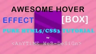 CSS Box Hover Effects / Pure CSS Tutorials / CSS3 Hover Effects