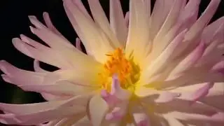 МК:  узор 