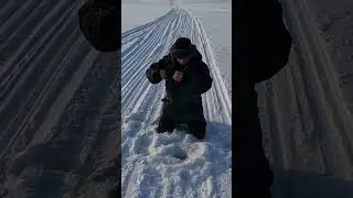 ДОЛГОЖДАННАЯ