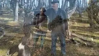 Дали кайфует на природе