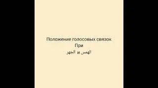 #хамс