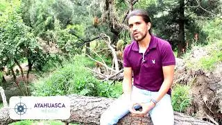 ¿Cómo reconocer a un buen chamán?