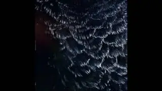 hørd - B3 - RFLX - LP