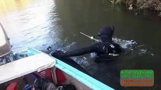 Поиск рыбы в коряжнике на р Дема в октябре