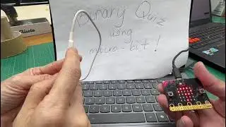 FLA Module 4 Binary Quiz with Microbit