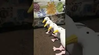 История о 4 гусей9# Гуси-гонка😯🦆🦆🦆🦆