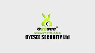 Oyesee Voice Alarm Human Detection IP Camera