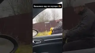 🤪ГРАЦИЯ КОШКИ🛵 #shorts