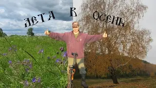 Из лета в осень