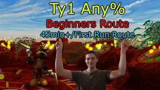 Ty1 Any% Beginner Route