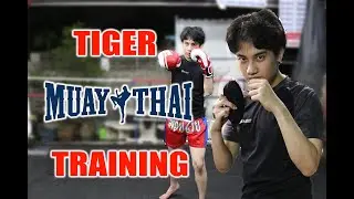 น้องเสือ เสฏกานต์ ศุขพิมาย ซ้อม ต่อยมวย ที่ค่ายมวย ขอนแก่น