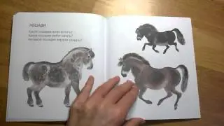 Вот они какие