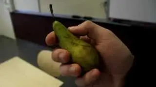 Fruktsallad