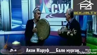 Сзлар кутган ТЖ кушиг Акои Маруф