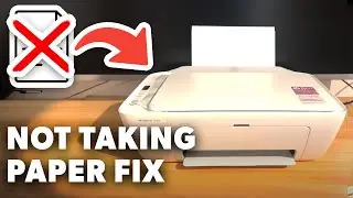 How to Fix HP Deskjet Printer Not Taking Paper - Full Guide